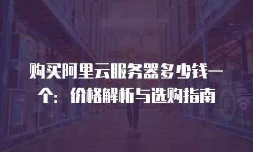 购买阿里云服务器多少钱一个：价格解析与选购指南