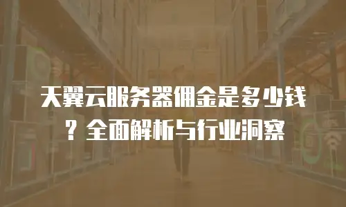 天翼云服务器佣金是多少钱？全面解析与行业洞察