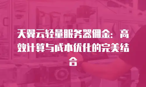 天翼云轻量服务器佣金：高效计算与成本优化的完美结合