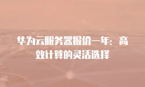 华为云服务器报价一年：高效计算的灵活选择