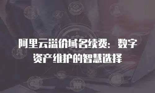 阿里云溢价域名续费：数字资产维护的智慧选择