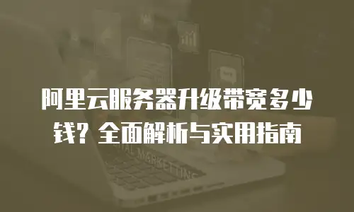 阿里云服务器升级带宽多少钱？全面解析与实用指南
