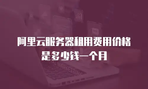 阿里云服务器租用费用价格是多少钱一个月