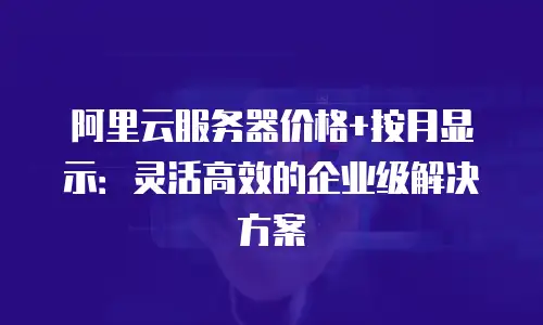阿里云服务器价格+按月显示：灵活高效的企业级解决方案