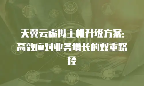 天翼云虚拟主机升级方案：高效应对业务增长的双重路径