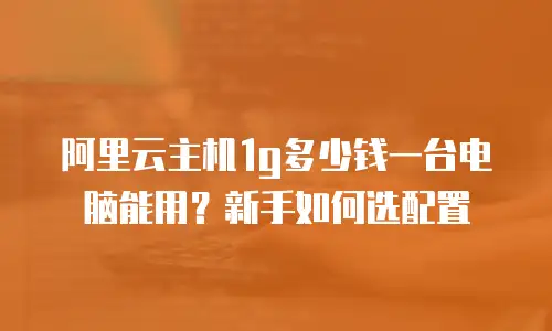 阿里云主机1g多少钱一台电脑能用？新手如何选配置