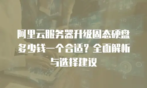 阿里云服务器升级固态硬盘多少钱一个合适？全面解析与选择建议