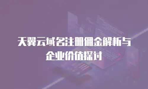 天翼云域名注册佣金解析与企业价值探讨