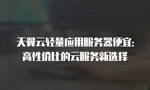 天翼云轻量应用服务器便宜：高性价比的云服务新选择