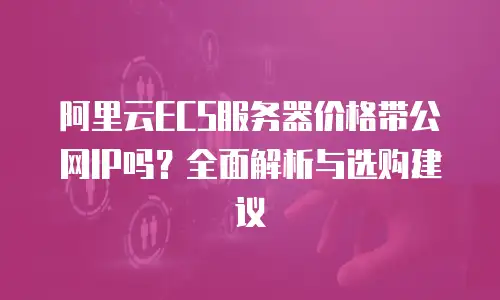 阿里云ECS服务器价格带公网IP吗？全面解析与选购建议