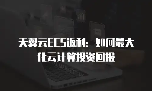 天翼云ECS返利：如何最大化云计算投资回报