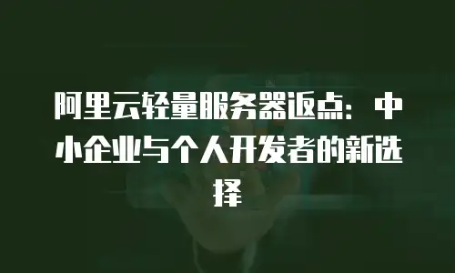 阿里云轻量服务器返点：中小企业与个人开发者的新选择