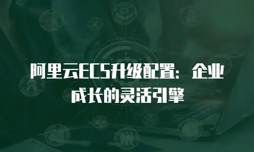 阿里云ECS升级配置：企业成长的灵活引擎