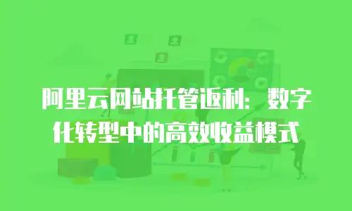 阿里云网站托管返利：数字化转型中的高效收益模式