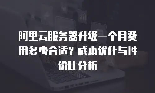 阿里云服务器升级一个月费用多少合适？成本优化与性价比分析