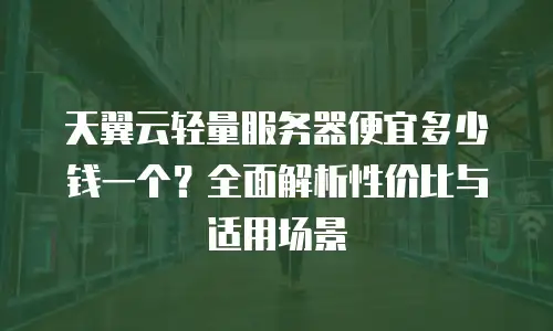 天翼云轻量服务器便宜多少钱一个？全面解析性价比与适用场景