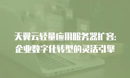 天翼云轻量应用服务器扩容：企业数字化转型的灵活引擎
