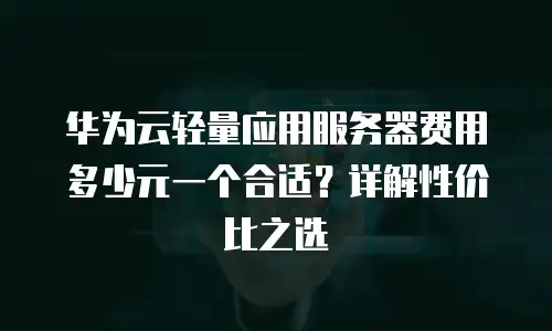 华为云轻量应用服务器费用多少元一个合适？详解性价比之选