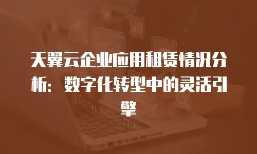 天翼云企业应用租赁情况分析：数字化转型中的灵活引擎