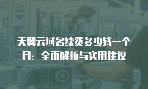 天翼云域名续费多少钱一个月：全面解析与实用建议