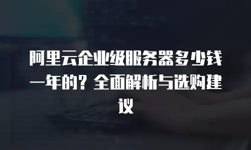 阿里云企业级服务器多少钱一年的？全面解析与选购建议