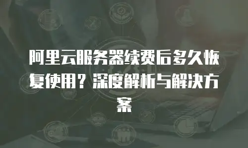 阿里云服务器续费后多久恢复使用？深度解析与解决方案