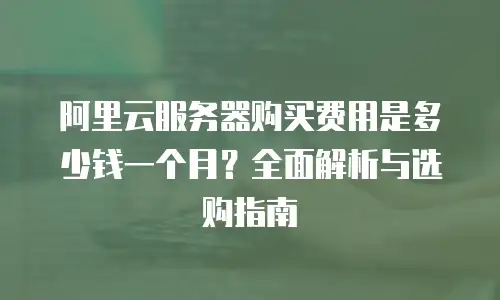 阿里云服务器购买费用是多少钱一个月？全面解析与选购指南