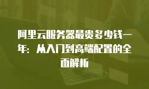阿里云服务器最贵多少钱一年：从入门到高端配置的全面解析