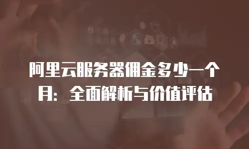 阿里云服务器佣金多少一个月：全面解析与价值评估