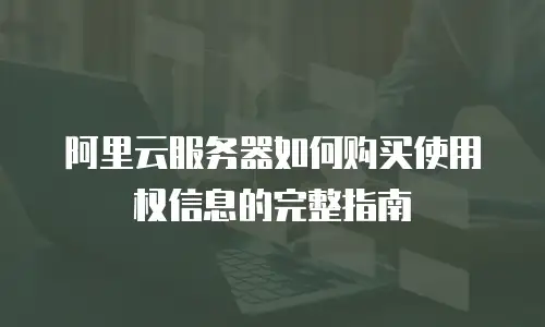 阿里云服务器如何购买使用权信息的完整指南
