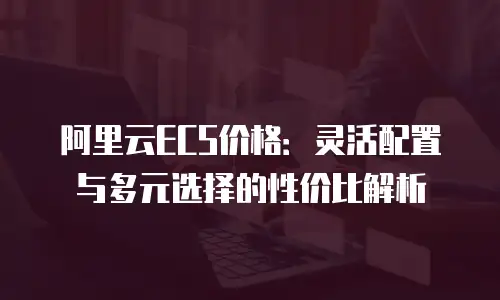 阿里云ECS价格：灵活配置与多元选择的性价比解析