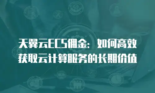 天翼云ECS佣金：如何高效获取云计算服务的长期价值