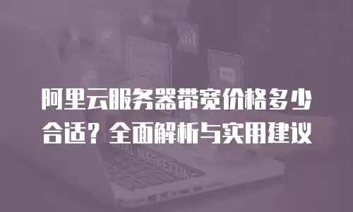 阿里云服务器带宽价格多少合适？全面解析与实用建议