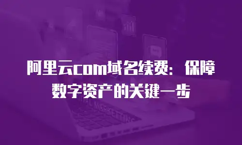 阿里云com域名续费：保障数字资产的关键一步