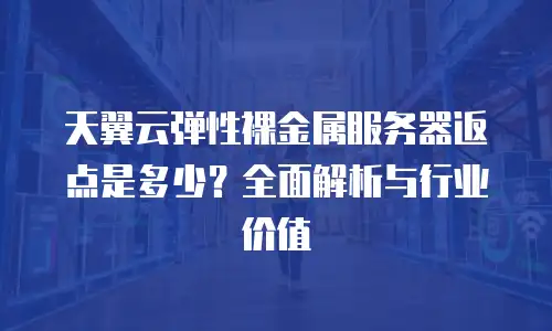 天翼云弹性裸金属服务器返点是多少？全面解析与行业价值