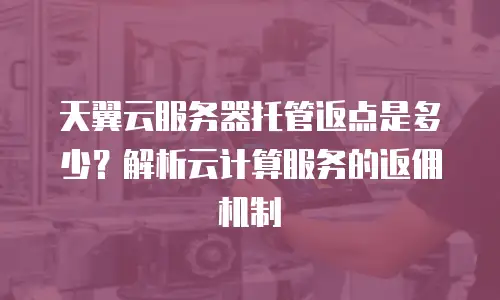 天翼云服务器托管返点是多少？解析云计算服务的返佣机制