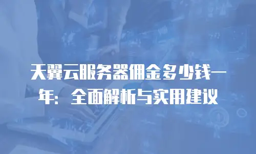 天翼云服务器佣金多少钱一年：全面解析与实用建议