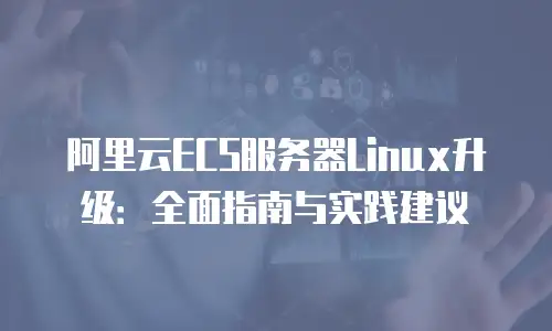阿里云ECS服务器Linux升级：全面指南与实践建议
