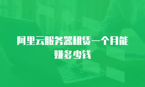 阿里云服务器租赁一个月能赚多少钱