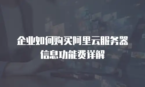 企业如何购买阿里云服务器信息功能费详解