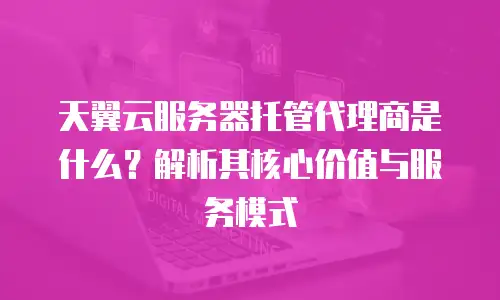 天翼云服务器托管代理商是什么？解析其核心价值与服务模式
