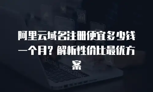 阿里云域名注册便宜多少钱一个月？解析性价比最优方案