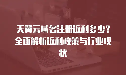 天翼云域名注册返利多少？全面解析返利政策与行业现状
