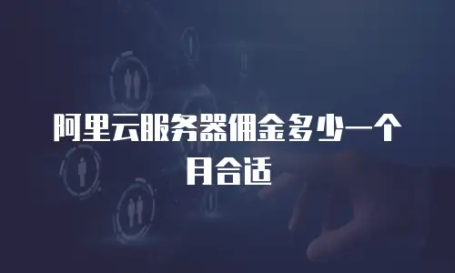 阿里云服务器佣金多少一个月合适