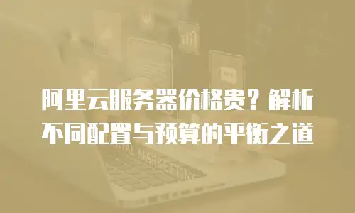 阿里云服务器价格贵？解析不同配置与预算的平衡之道