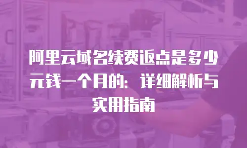 阿里云域名续费返点是多少元钱一个月的：详细解析与实用指南