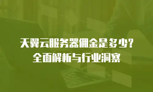 天翼云服务器佣金是多少？全面解析与行业洞察