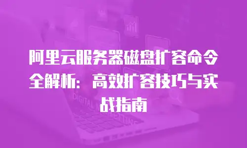阿里云服务器磁盘扩容命令全解析：高效扩容技巧与实战指南