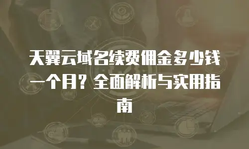 天翼云域名续费佣金多少钱一个月？全面解析与实用指南