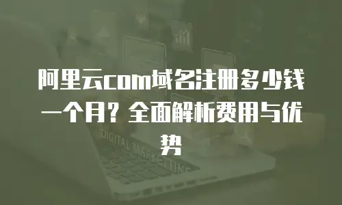 阿里云com域名注册多少钱一个月？全面解析费用与优势